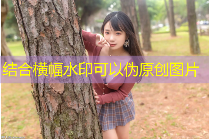 室内健身工具推荐新手女士