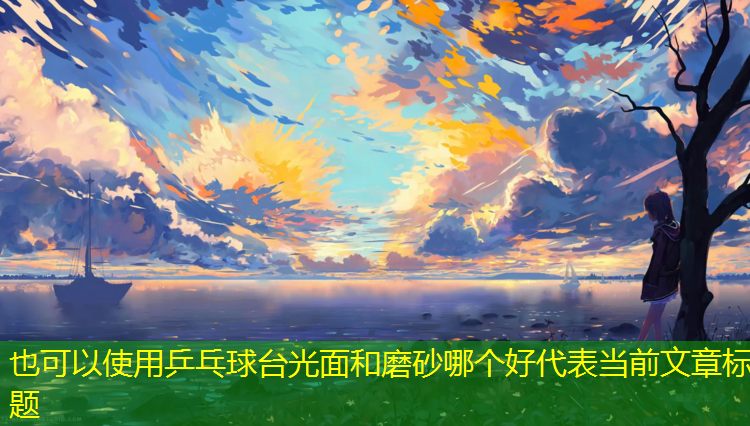 乒乓球台光面和磨砂哪个好